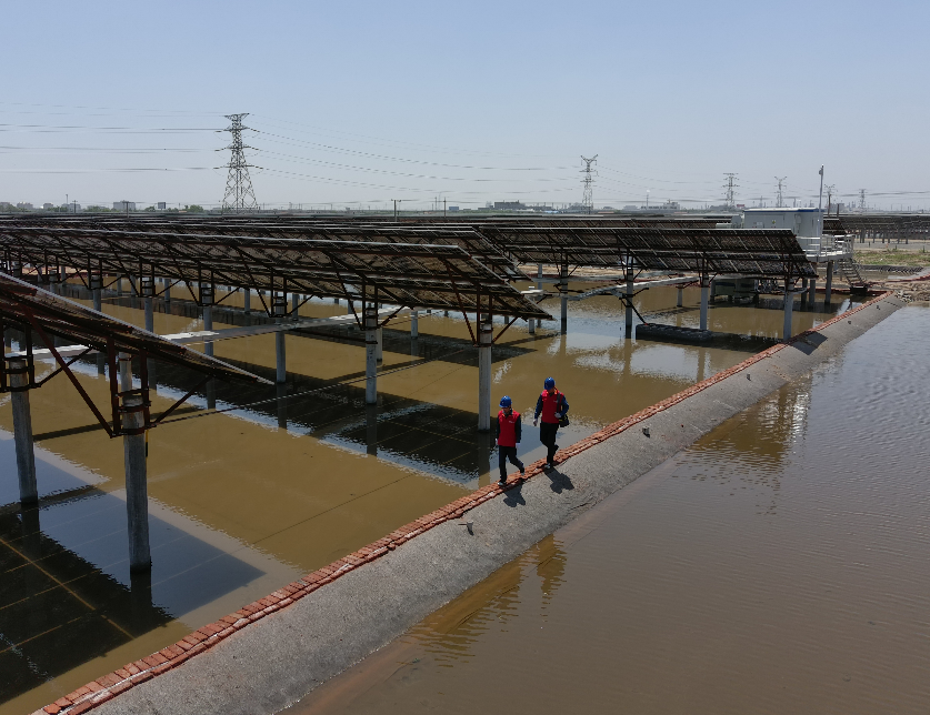 米兰milan(中国)省电线电缆行业米兰milan(中国)